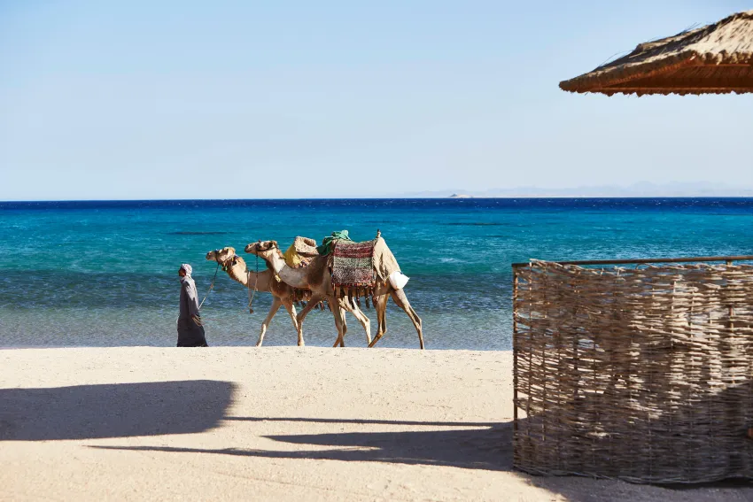 Kempinski Hotel Soma Bay 5*-339