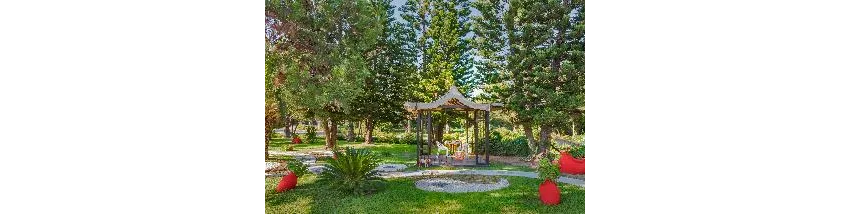 Club Nena 5*-65
