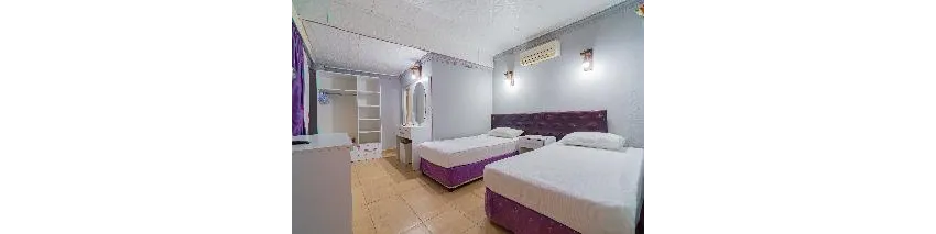 Sayanora Hotel 3*-93