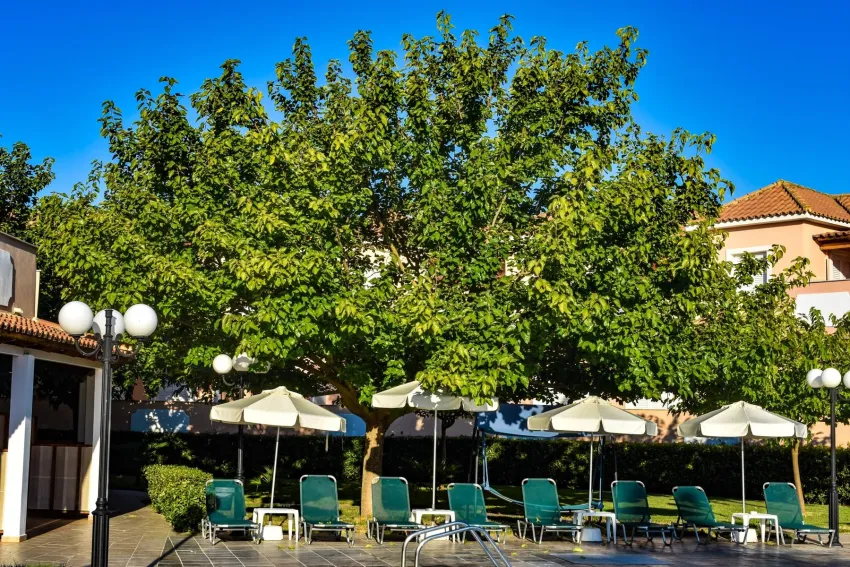 Eco Resort Zefyros 3*-9