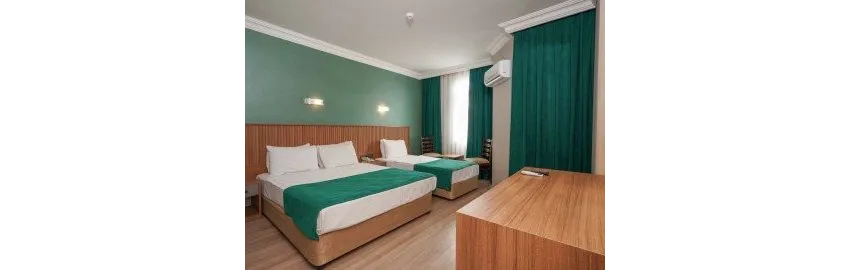 Ergun Hotel 3*-5
