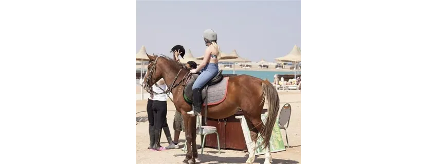 Coral Beach Resort Hotel 4*-75