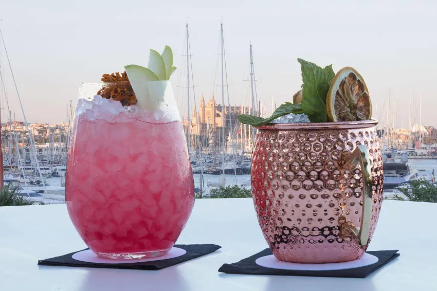 Melia Palma Marina 4*-210