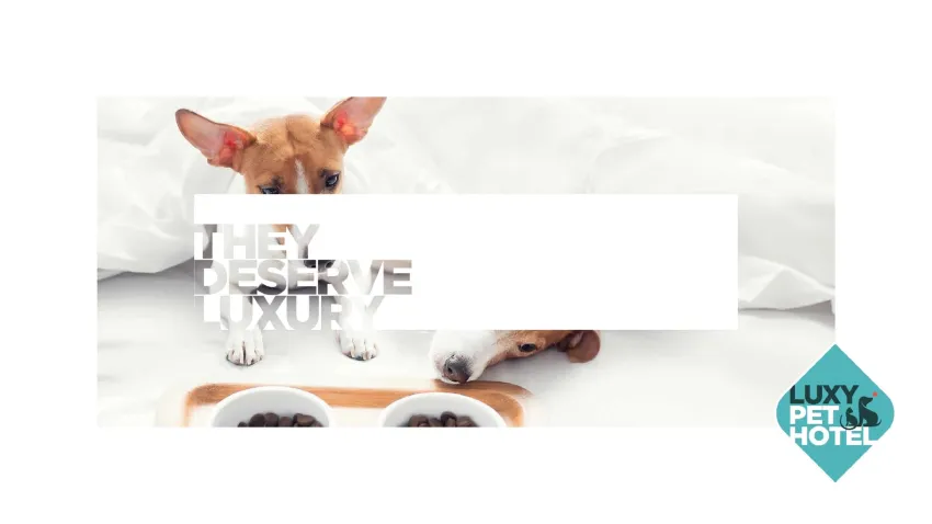 Nirvana Dolce Vita 5*-4