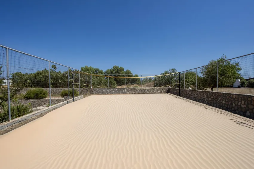 Ledras Beach Hotel 4*-25