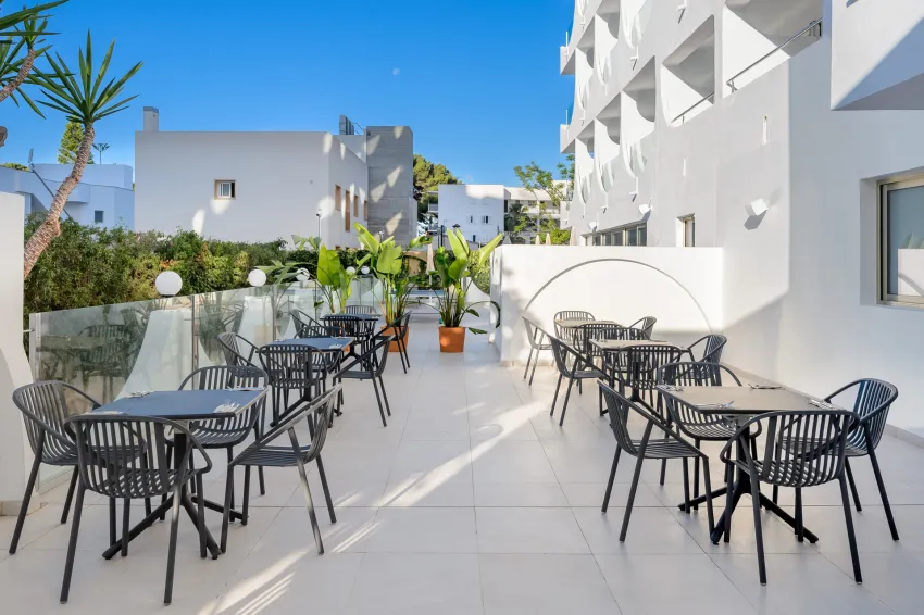Vibra Palma Cactus 4*-24