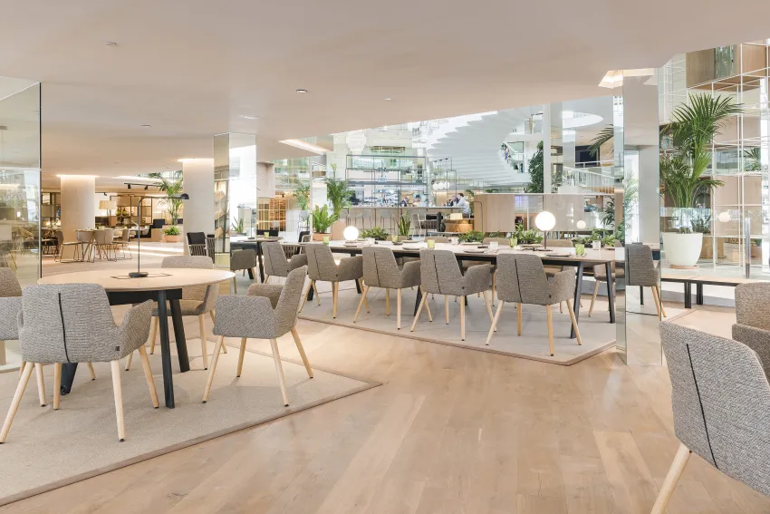 Melia Palma Marina 4*-264