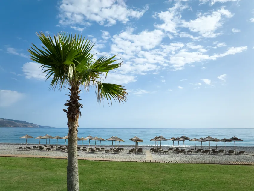 Euphoria Resort 5*-131