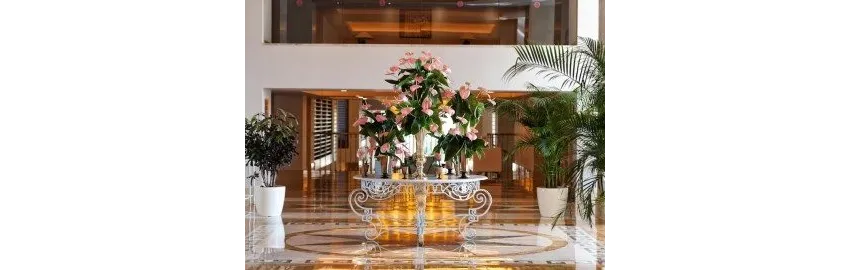 Arum Barut Collection 5*-10