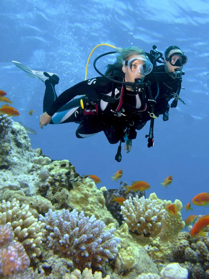 Steigenberger Aqua Magic 5*-120