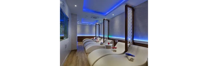 Villa Sunflower Hotel 4*-1