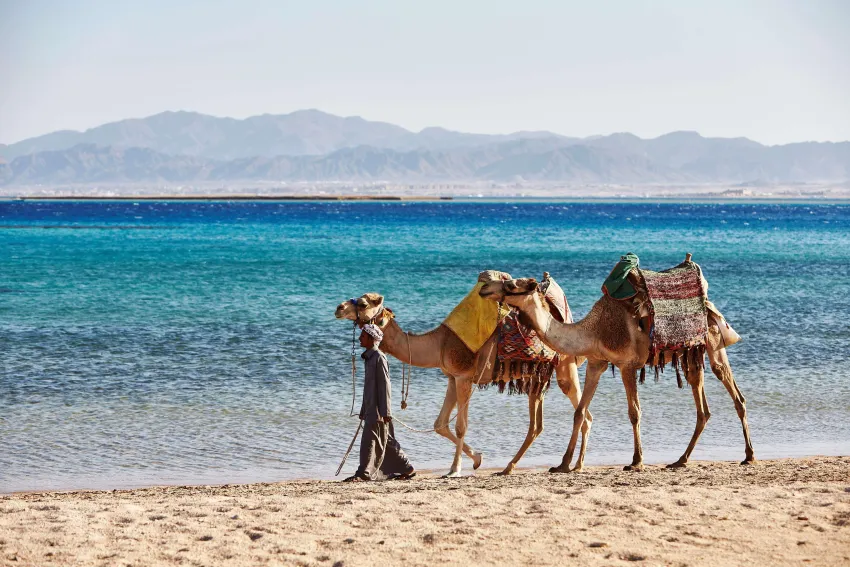 Kempinski Hotel Soma Bay 5*-349
