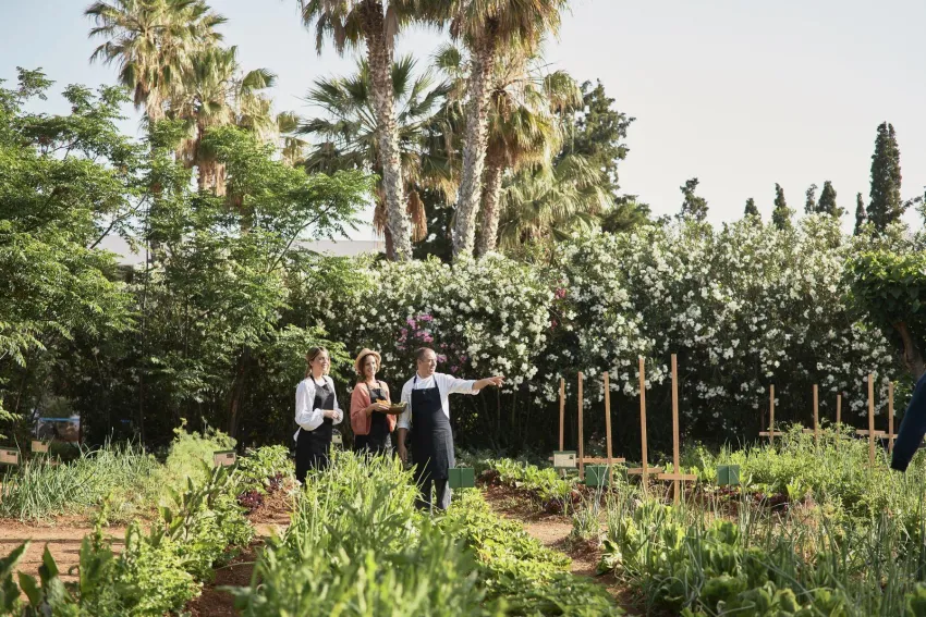 Phaea Cretan Malia 5*-7