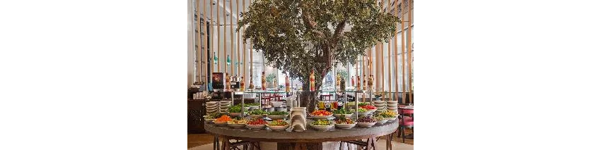 Ic Hotels Green Palace 5*-51