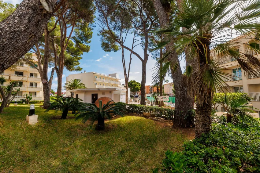 Club Hotel Cala Ratjada 3*-10