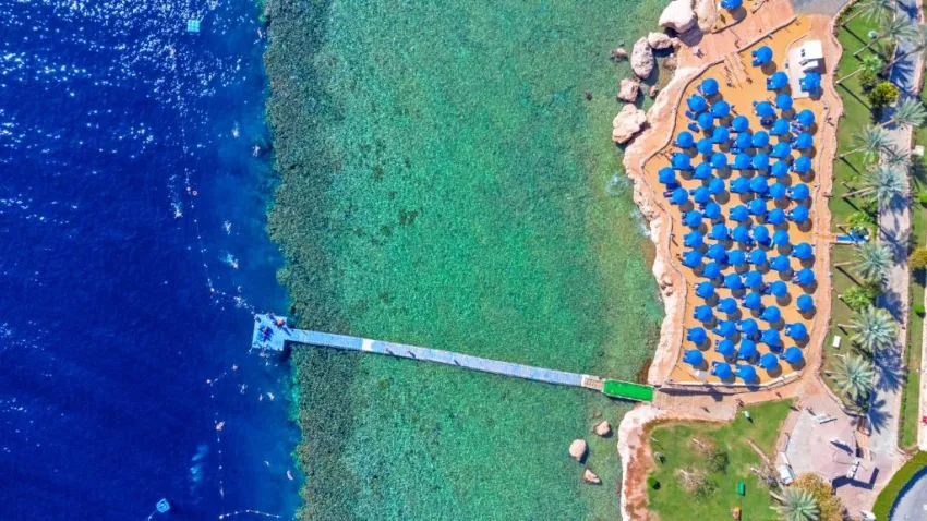 ALBATROS ROYAL GRAND SHARM EL SHEIKH (ADULT ONLY16+)  5*-99