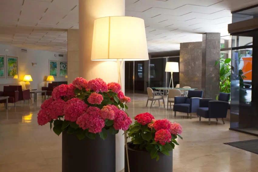 Be Live Experience Costa Palma 4*-9