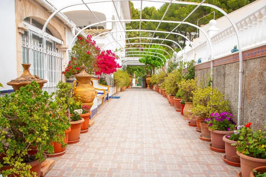 Atalaya Bosque App 2*-13