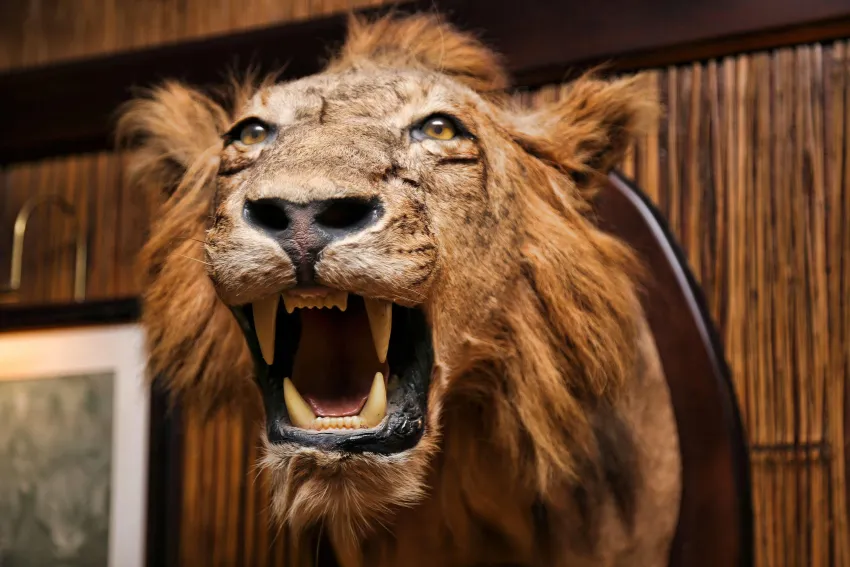 Lindner Hotel Mallorca Portals Nous 4*-2