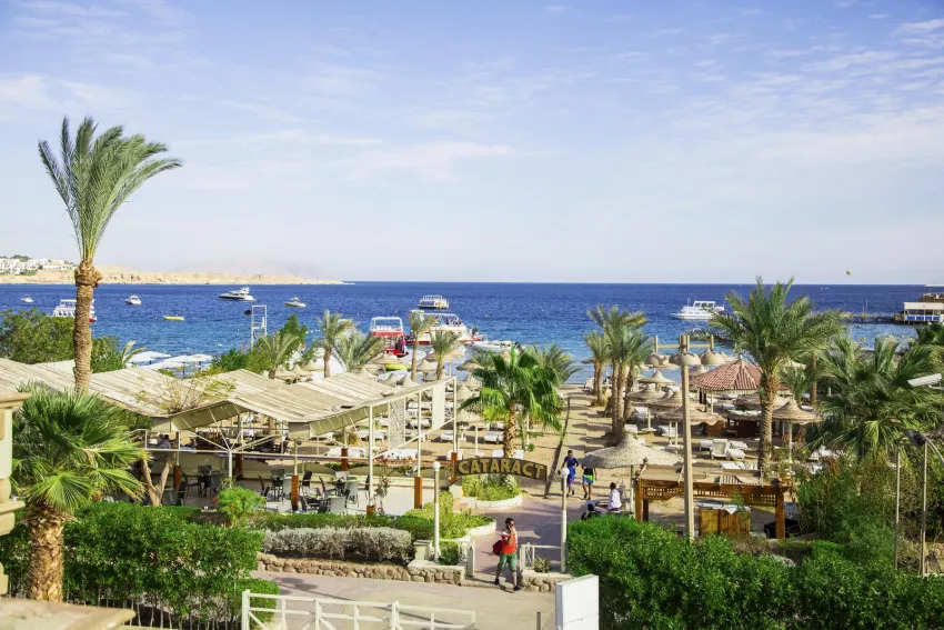Cataract Layalina 3*-21