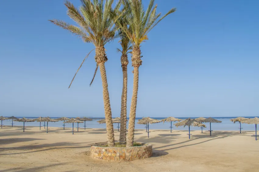 Protels Crystal Beach Resort 4*-18