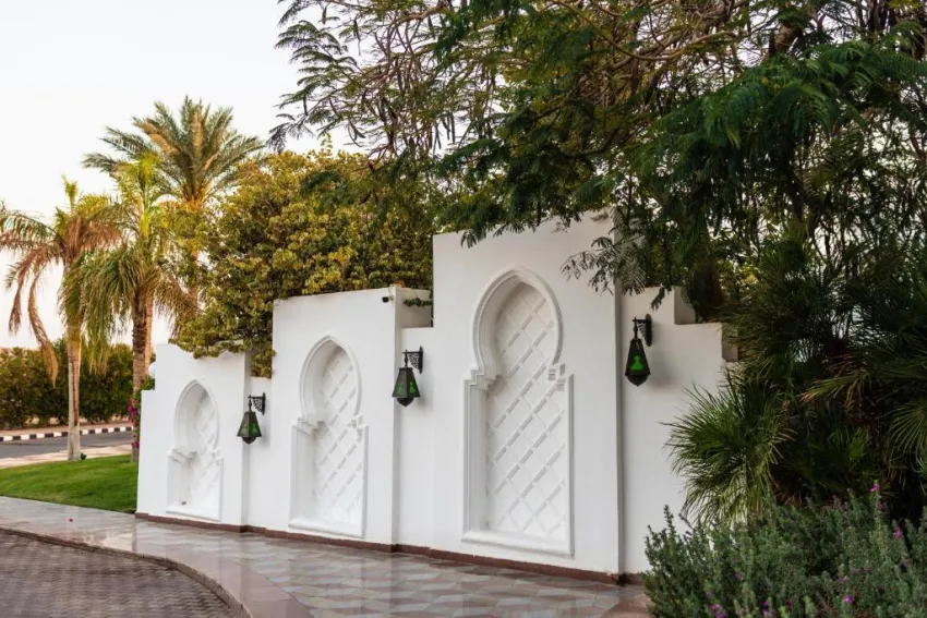 BARON PALMS (ADULTS ONLY 16+)  5*-24
