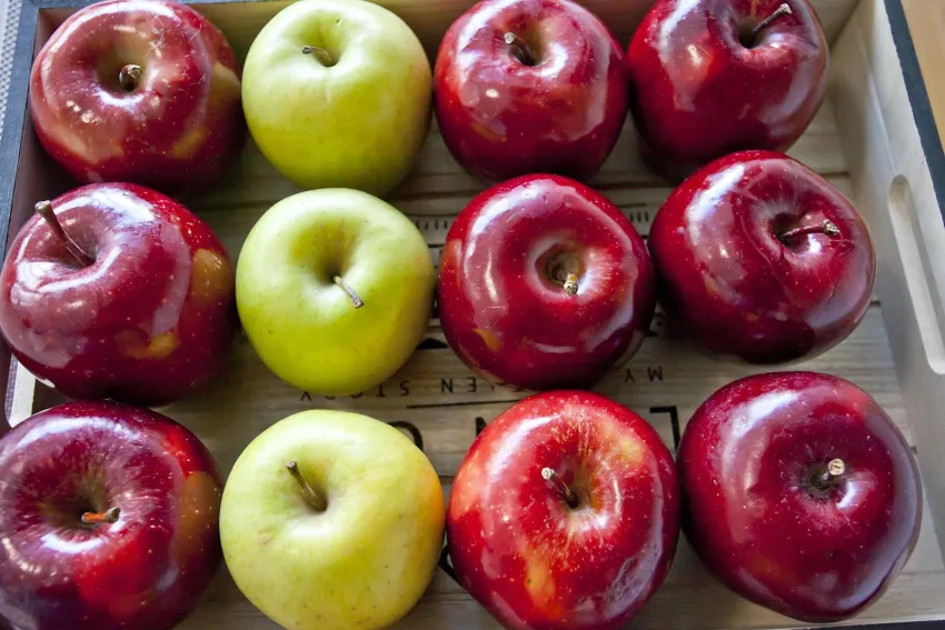 FlipFlop Surfing Playa Apartments 2*-9