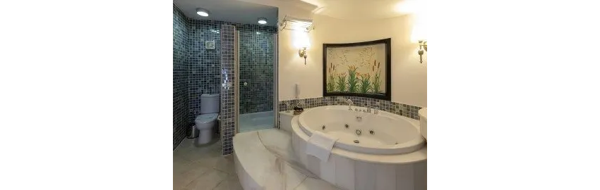 Starlight Resort Hotel 5*-25