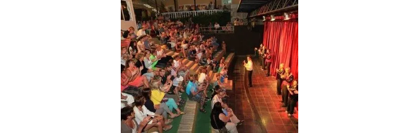 Club Dizalya 4*-21