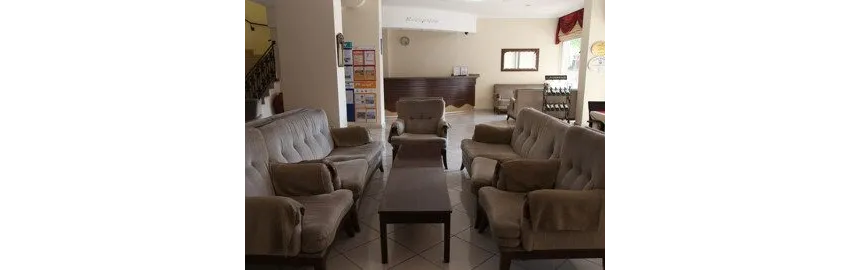 Alin Hotel 3*-2