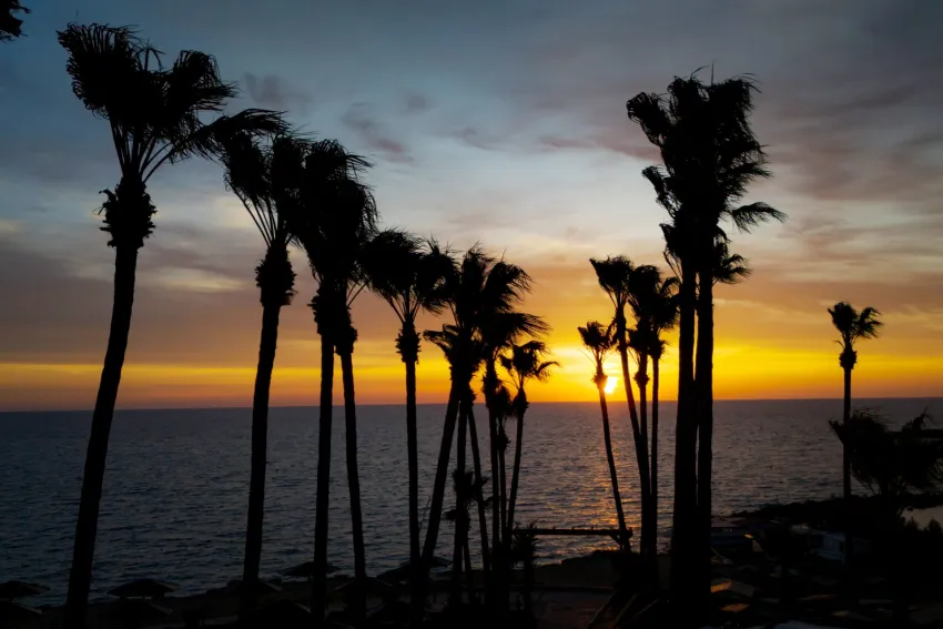 Cavo Maris Beach 4*-10