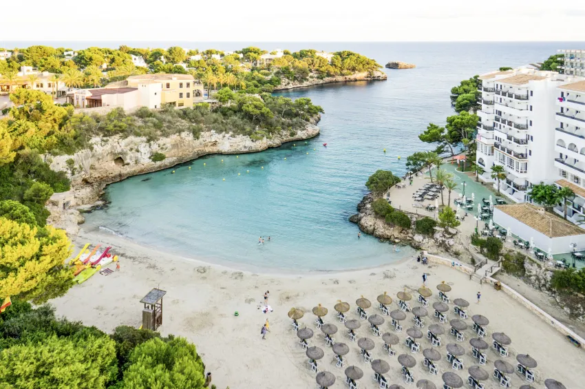 Marsenses Ferrera Blanca Adults Only 4*-14