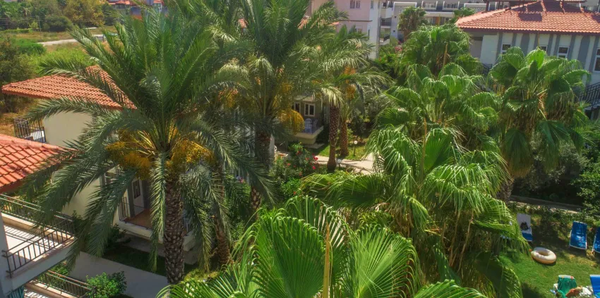 Sunlight Garden Hotel 3*-3