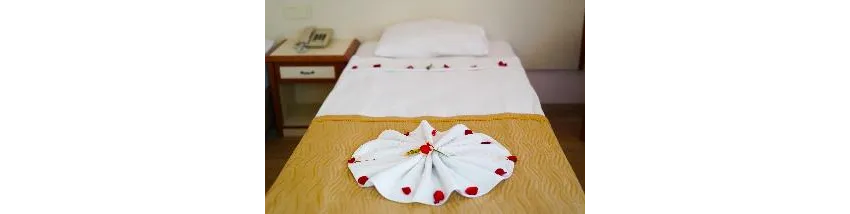 Ergun Hotel 3*-18