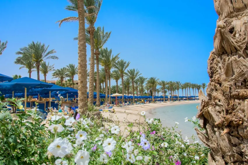 Continental Hotel Hurghada 5*-183