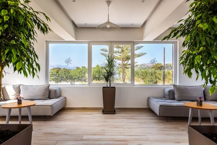 Solimar White Pearl (Adults Only 17+) 4*-4