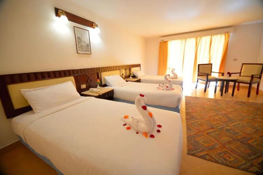 FALCON NAAMA STAR  3*-59