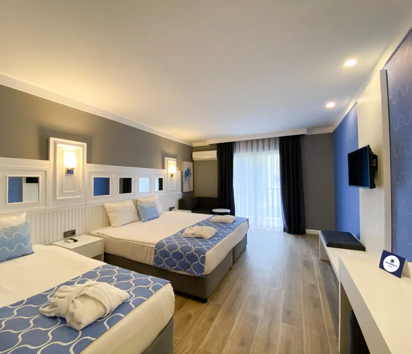 Gypsophila Club Marine 5*-7