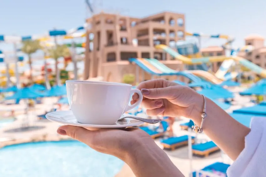 PICKALBATROS AQUA PARK RESORT  4*-22