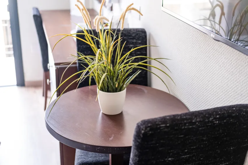 Livadhiotis City Hotel 3*-31