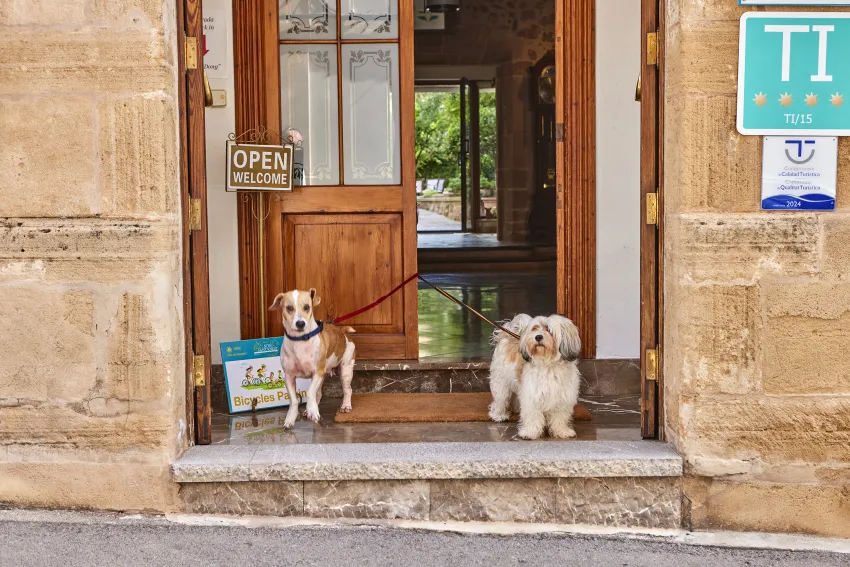 Son Sant Jordi Boutique House 4*-1