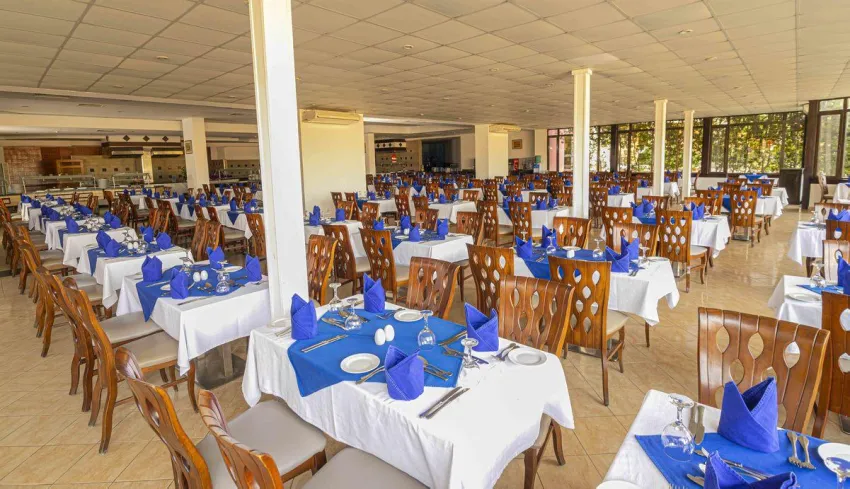 Blend Elphistone Resort Marsa Alam 4*-10