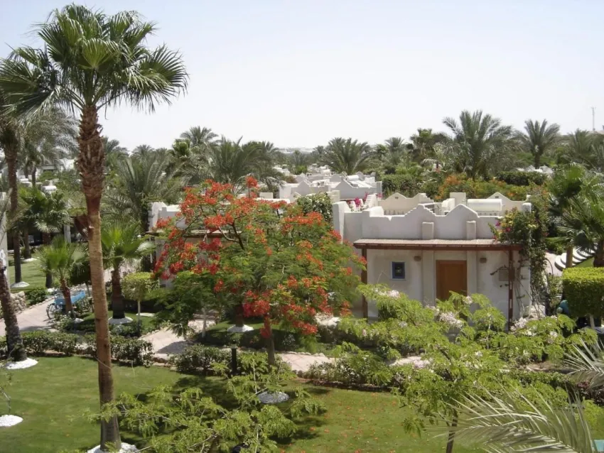 Jaz Fayrouz Resort 4*-18