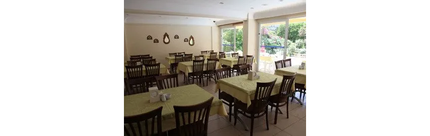 Alin Hotel 3*-21
