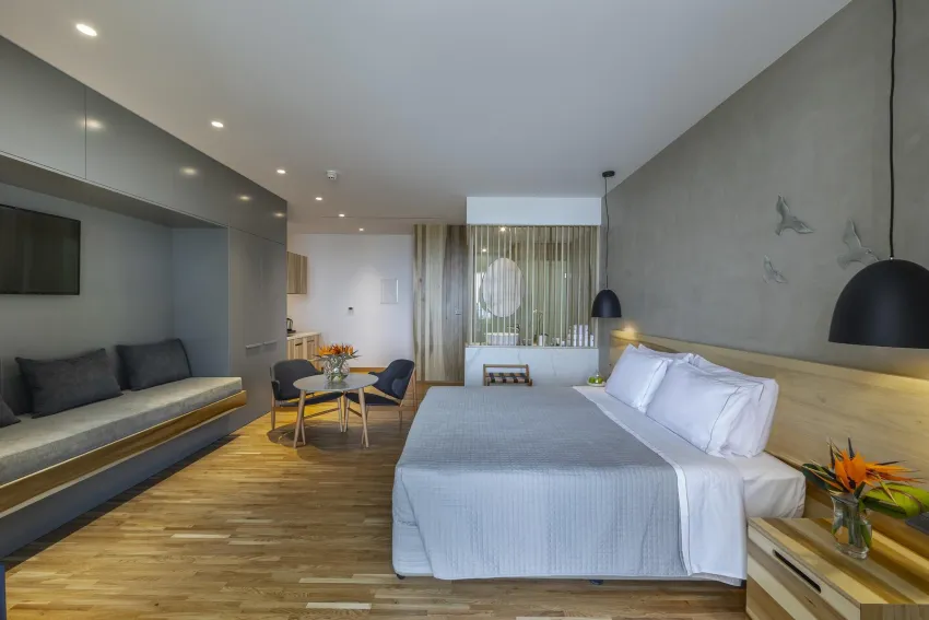 Anemi Hotel & Suites 4*-11