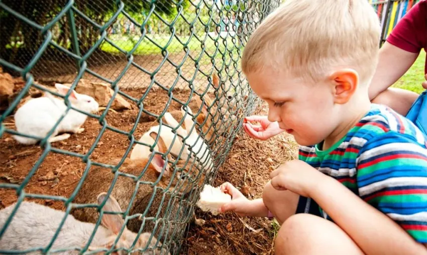 Belconti Resort Belek 5*-16