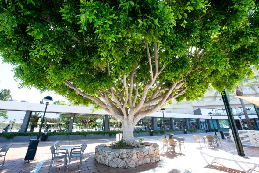 Club Cala Romani 3*-5