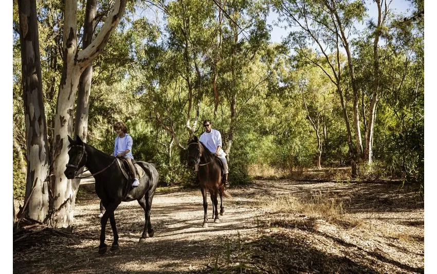 Domes Aulus Zante Autograph Collection 5*-37