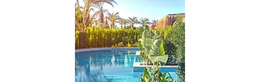 Royal Wings Hotel 5*-30