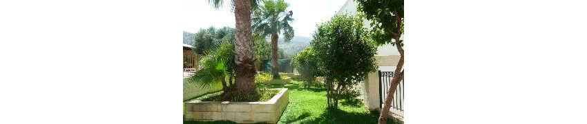 Newcastle Studios 3*-7